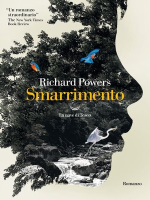 cover image of Smarrimento